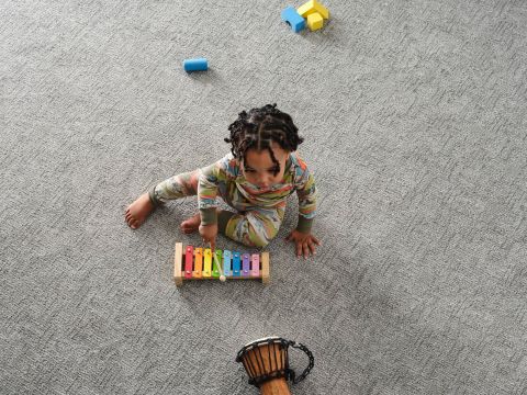 Image depicting the Service Carpet