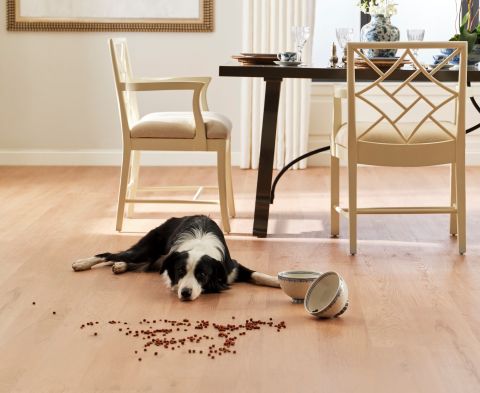 Image depicting the Service Luxury Vinyl Plank (LVP)